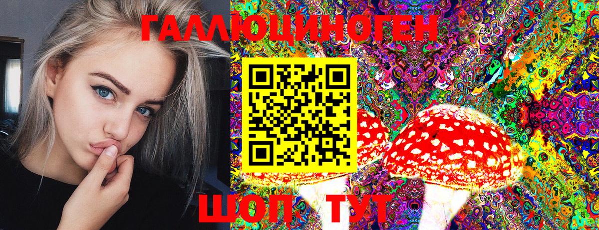 Галлюциногенные грибы Psilocybe Пенза