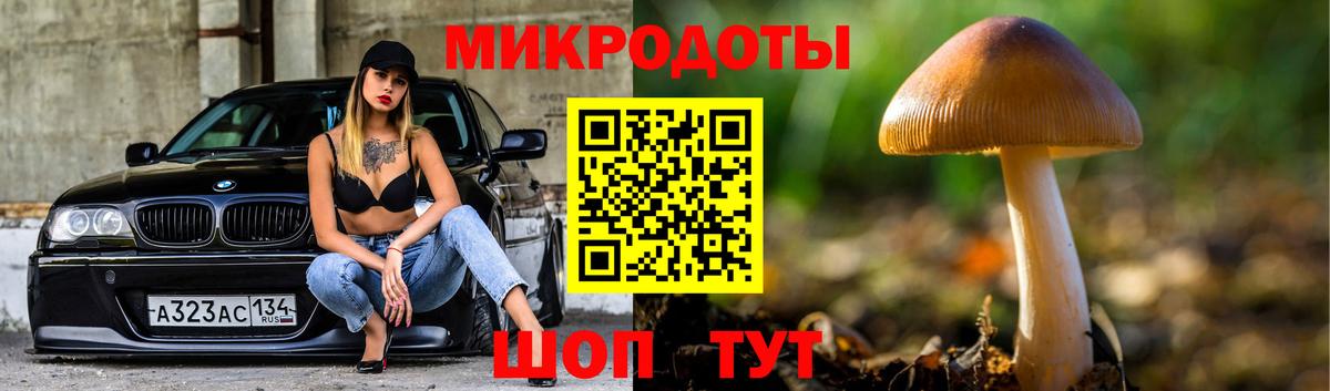 Пенза  Галлюциногенные грибы мухоморы  Вход с VPN 